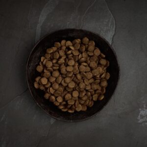 Canagan Scottish Salmon is graanvrij hondenvoer met Schotse zalm, haring, forel en witvis. Voor puppy's en volwassen honden.