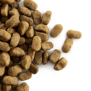 Carocroc original 23/12 voor gewone honden