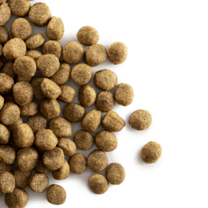 CaroCroc Senior voor de oudere hond