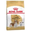 Royal Canin Cavalier king charles adult