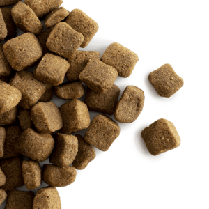 Carocroc Energy 25/16 voor de hond