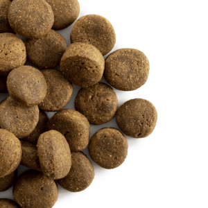 Carocroc Large breed 27/16 voor grote honden