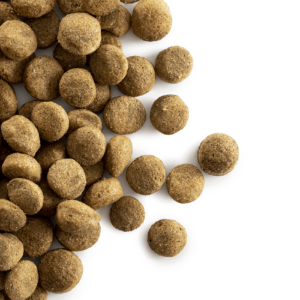 Carocroc Low Energy 22/8 voor honden