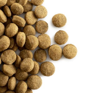 Carocroc Support 23/11 voor de hond