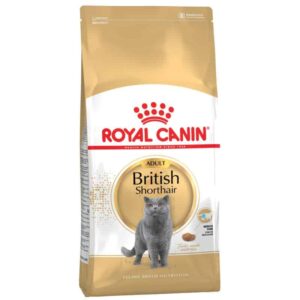 Royal canin British shorthair adult