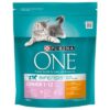 Purina One Junior