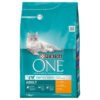 Purina One adult Kip