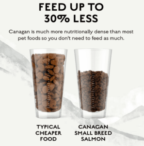 Schermafbeelding 2023 01 26 134557