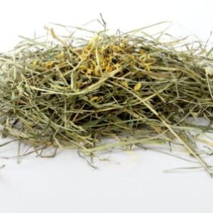 los hooi calendula paardenbloem