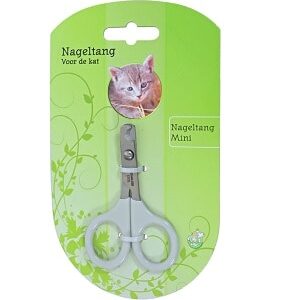 Alternative view of Nageltang kat