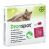 Dronspot grote kat