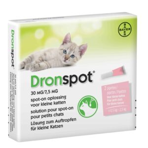 Dronspot kleine kat