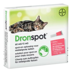Dronspot middel kat