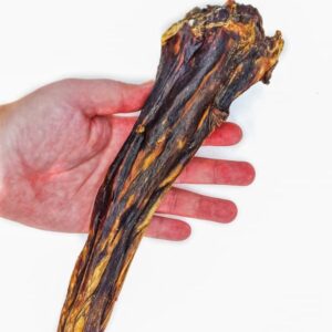 Paardenstaart voor de hond