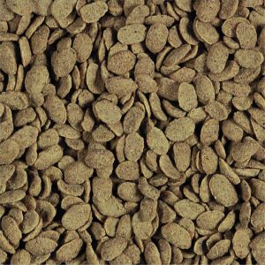 Alternative view of Nutribird P15 original