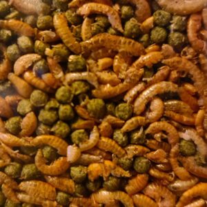 Alternative view of Schildpad mix fijn 330ml