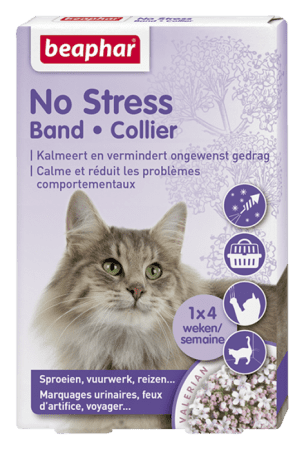 No stress band Kat