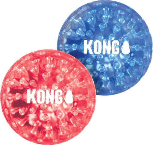 Kong Squeezz geodz Large per 2