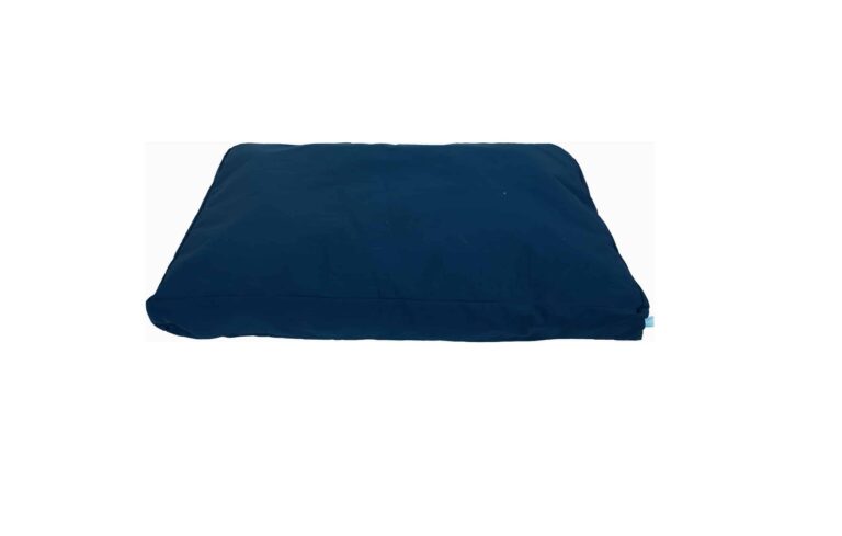 lief! loungekussen Blauw 85x60 cm