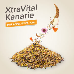 Xtra Vital Kanarievoer 500g is complete premium voeding met zaden, vruchten, eivoer, grit, vitaminen en mineralen.