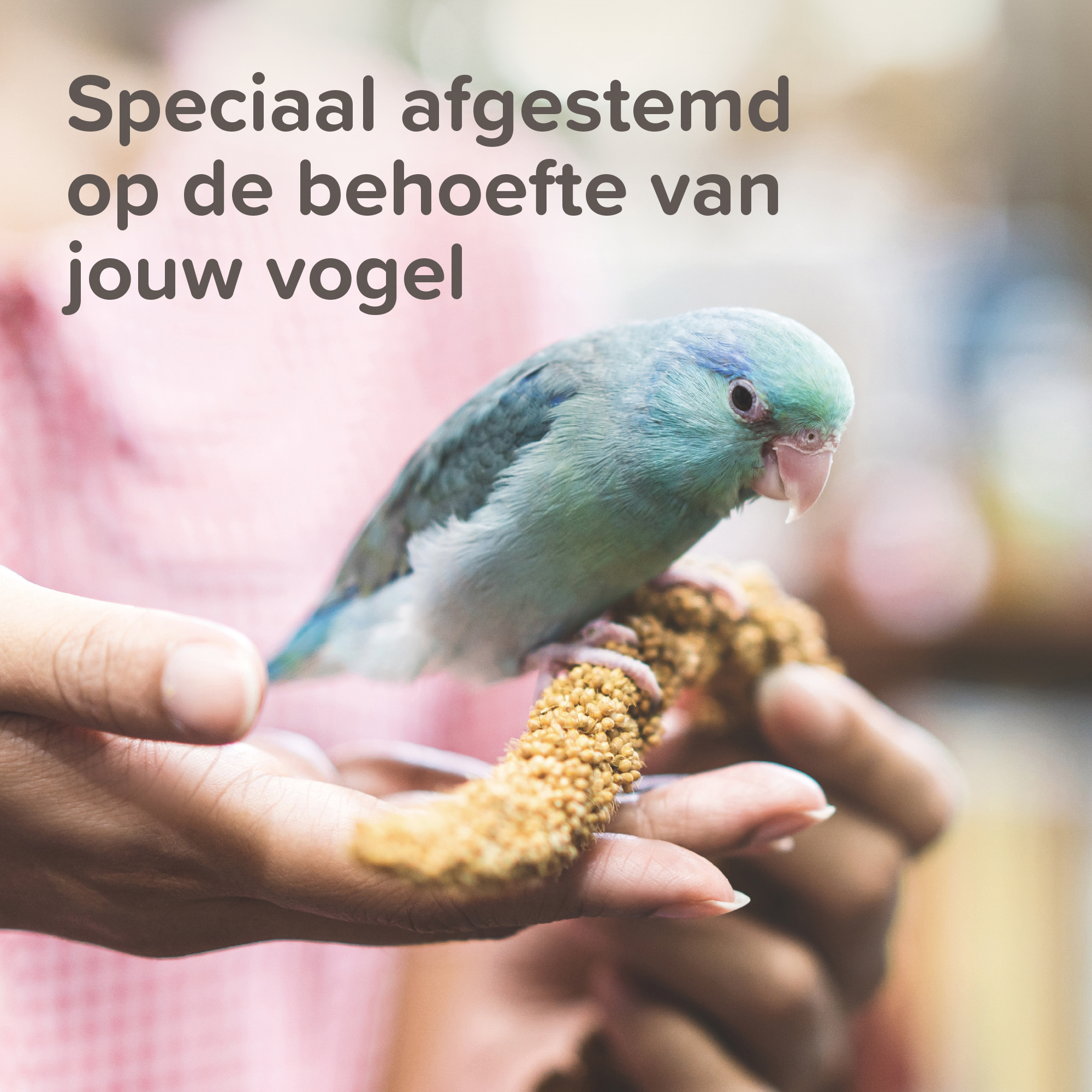 1000124 Ecommerce XV Canary NL 2024 6 1 Beaphar XtraVital Grote Parkiet is complete premium voeding met een gevarieerde mix van zaden, vruchten, vitaminen en mineralen.