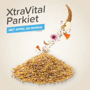 Beaphar XtraVital Parkiet is complete premium voeding met zaden, vruchten, vitaminen, mineralen en Echinacea.