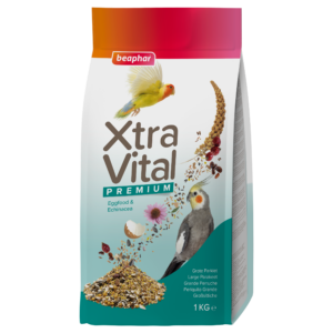Beaphar XtraVital Grote Parkiet is complete premium voeding met een gevarieerde mix van zaden, vruchten, vitaminen en mineralen.