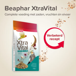 Beaphar XtraVital Grote Parkiet is complete premium voeding met een gevarieerde mix van zaden, vruchten, vitaminen en mineralen.
