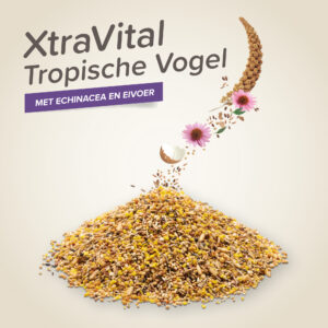 XtraVital tropische vogels 500 gr is complete premium voeding met eivoer en Echinacea voor gezonde tropische vogels.