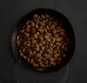 Schermafbeelding 2023 01 04 210948 Schermafbeelding 2023 01 04 210948