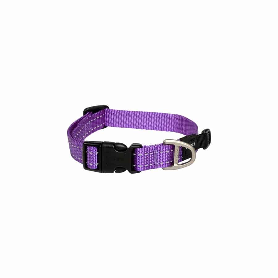 Moeras Besmettelijk Suradam Rogz Utility halsband Purple, diverse maten | BeestachtigGoed