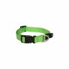 HB11 L Utility Classic Collar M Lime Rogz Utility halsband Lime