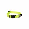 Rogz Utility halsband DayGlo Rogz Utility halsband DayGlo