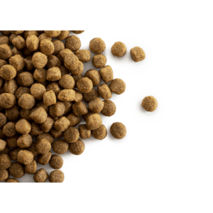 CaroCroc Puppy Large 25/17