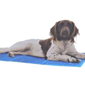 Cool mat Bubble 50x40 cm