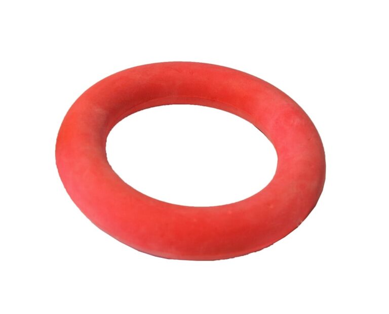 hondenspeelgoed drijvende spons ring, 15 cm