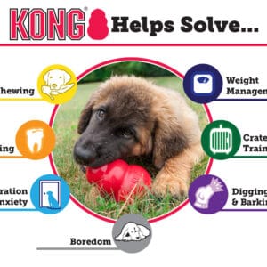 Kong voor honden