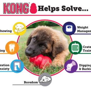 Kong voor honden