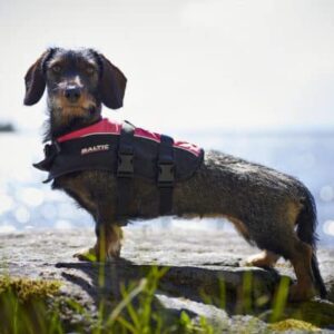 Hondenzwemvest Oranje/zwart