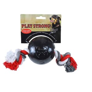 0203133 scaled 1 0203133 scaled 1