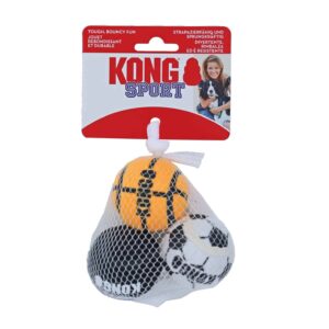Kong Sport ballen, Small 3 stuks