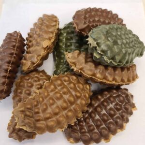 Kauw bommetje hondensnack voor de hond