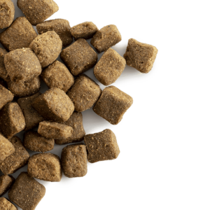 CaroCroc High Energy 28/20