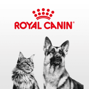 Prijsverhoging royal canin, het kan anders en beter!