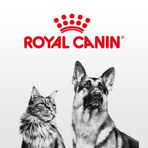 Wiskunde Alfabetische volgorde essay Prijsverhoging royal canin, het kan anders en beter!