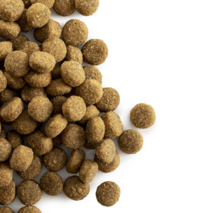 CaroCroc Superior 20/10