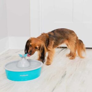 PetSafe Drinkwell drinkfontein Butterfly, 1,5 liter