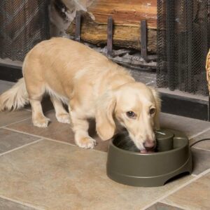 0220312 met hond PetSafe Drinkwell drinkfontein Current, 1,2 liter