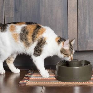 PetSafe Drinkwell drinkfontein Current, 1,2 liter