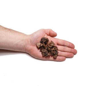 Runderlong trainers huisdier plus, 150gr